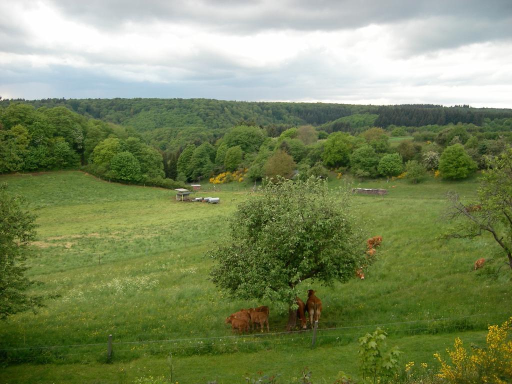 Landhaus Bad Bertrich Eksteriør bilde