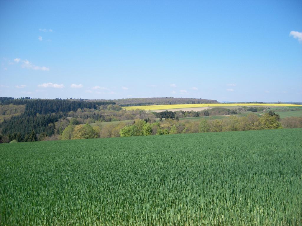 Landhaus Bad Bertrich Eksteriør bilde