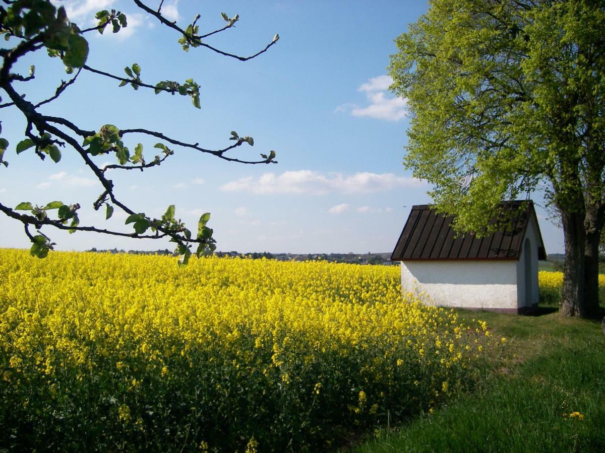 Landhaus Bad Bertrich Eksteriør bilde