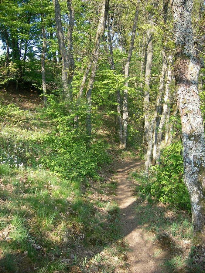 Landhaus Bad Bertrich Eksteriør bilde